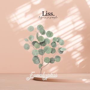 Eucalyptus (Chinese) Essential Oil